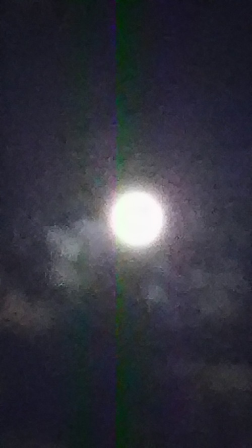 08729d7a.jpg