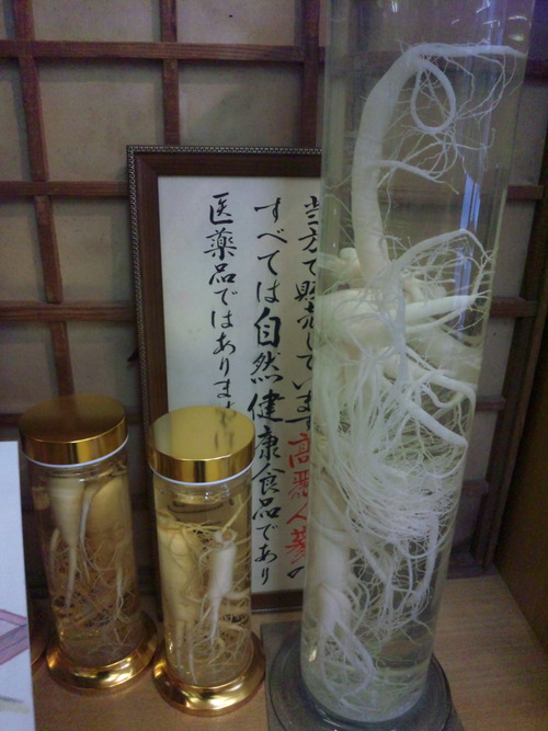 画像 042