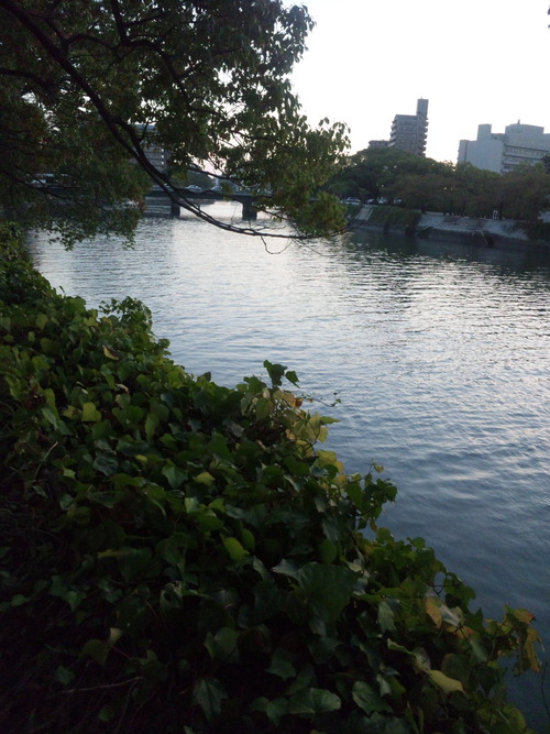 画像 081