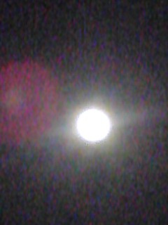 45f319fa.jpg