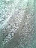 5f735215.jpg