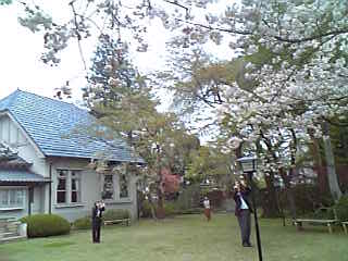 61150eb7.jpg