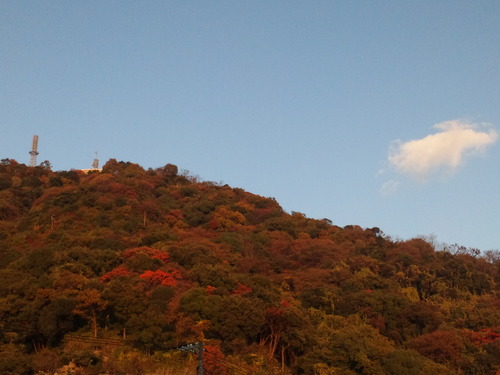 画像 146