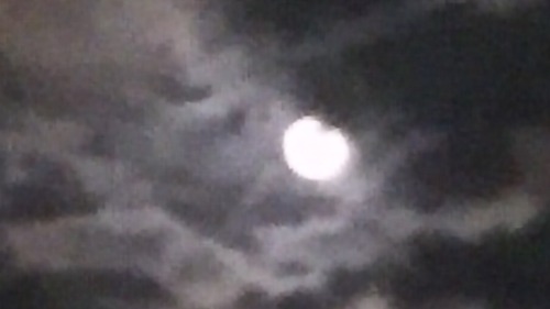 9abc1049.jpg