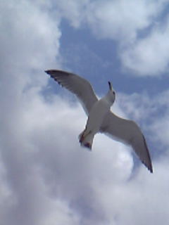 ac6783e4.jpg