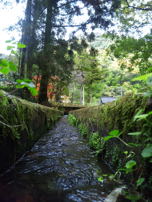 画像 091