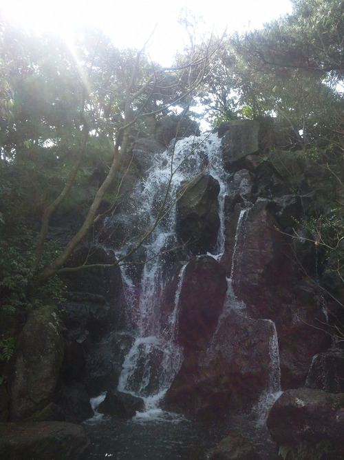 画像 030