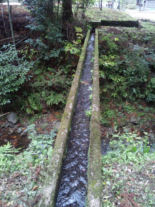 画像 090