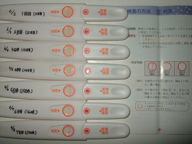 排卵検査薬 陽性か ゆかりんはうす