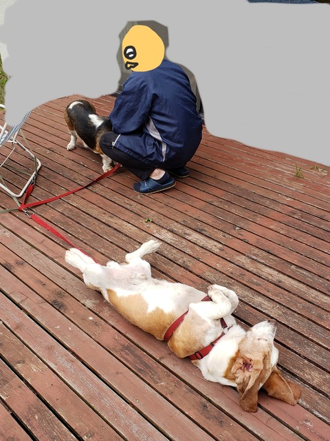 BeautyPlus_20190501221829135_save