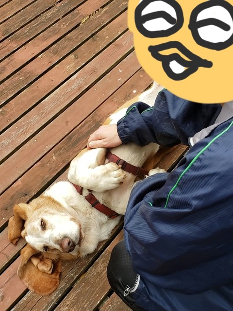 BeautyPlus_20190501215106474_save