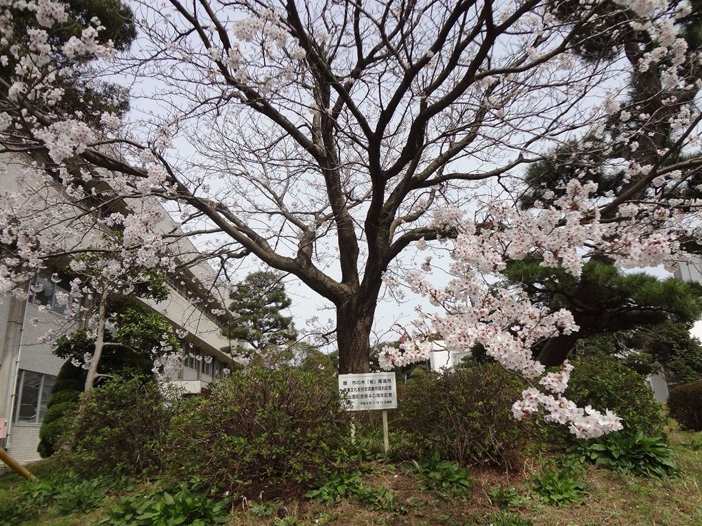 平田博則