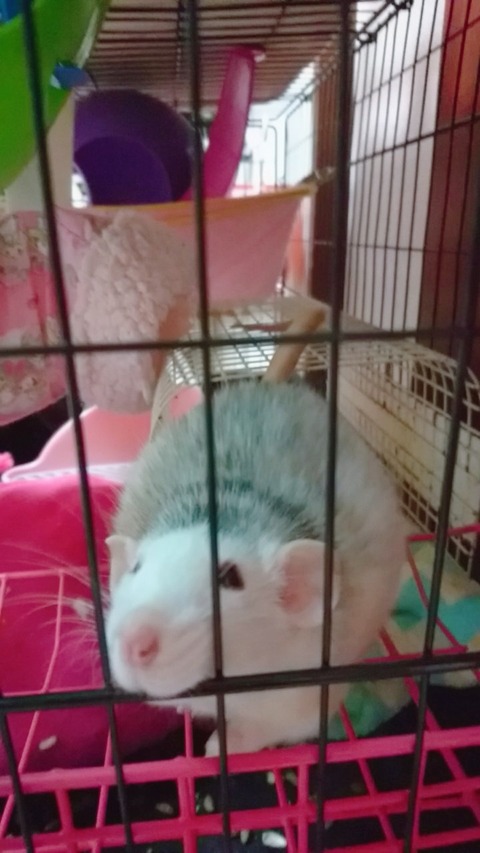 17-12-20-22-40-17-270_deco