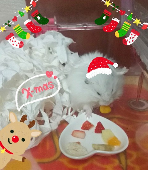 17-12-25-19-52-04-643_deco