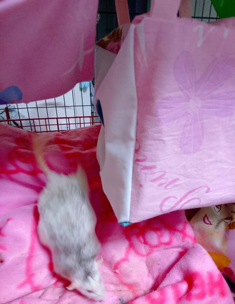 18-04-12-00-32-40-383_deco