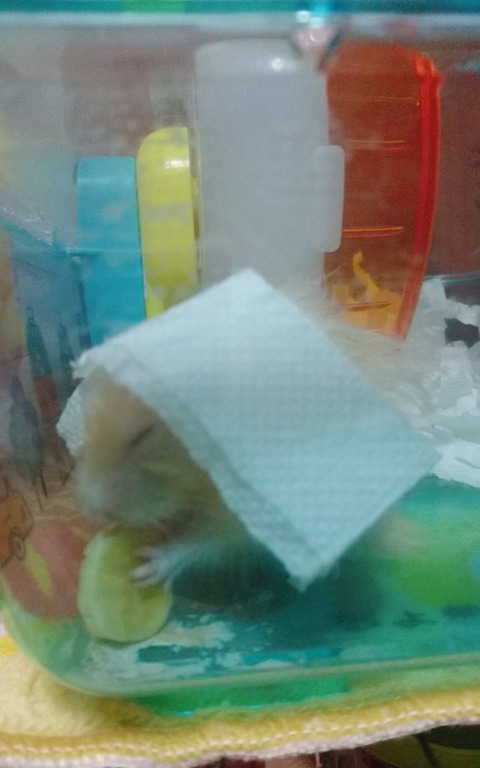 17-12-20-22-39-12-778_deco