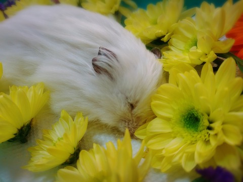 17-12-29-13-17-50-456_photo