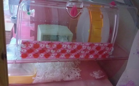 16-03-25-00-00-24-205_deco