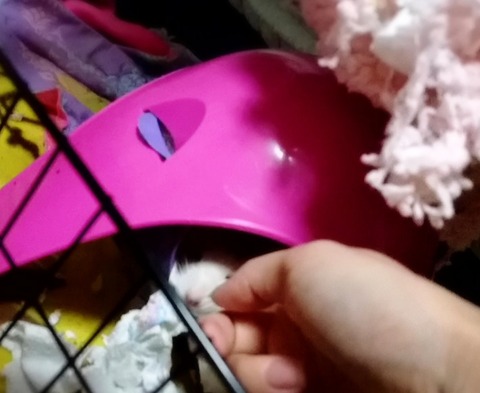 18-09-27-00-35-33-702_deco