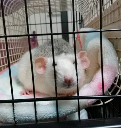 18-01-17-23-42-12-664_deco