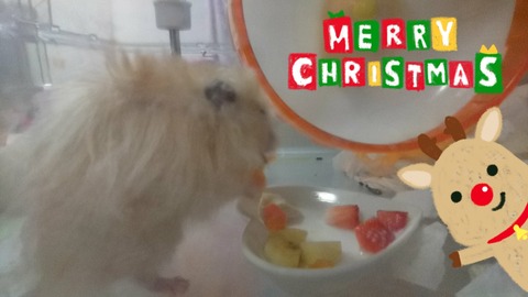 17-12-25-19-46-25-898_deco