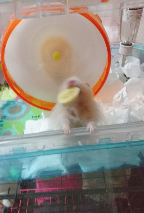 17-12-20-22-37-57-042_deco