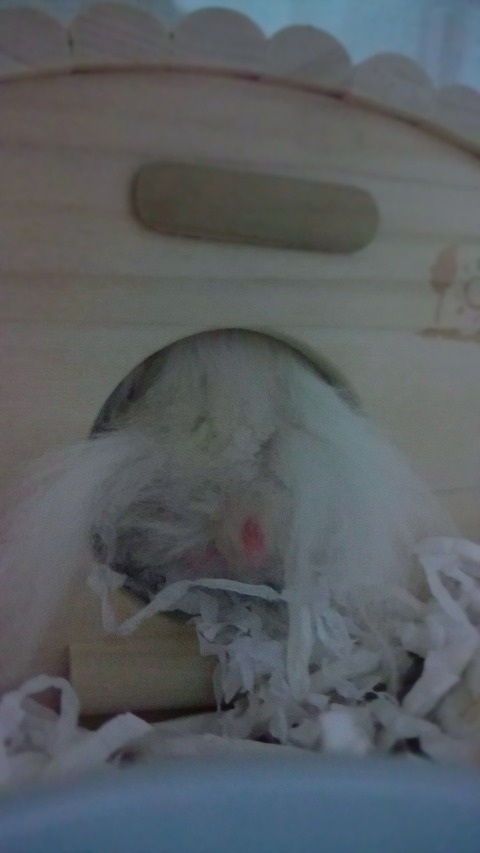 16-03-07-22-39-45-690_deco