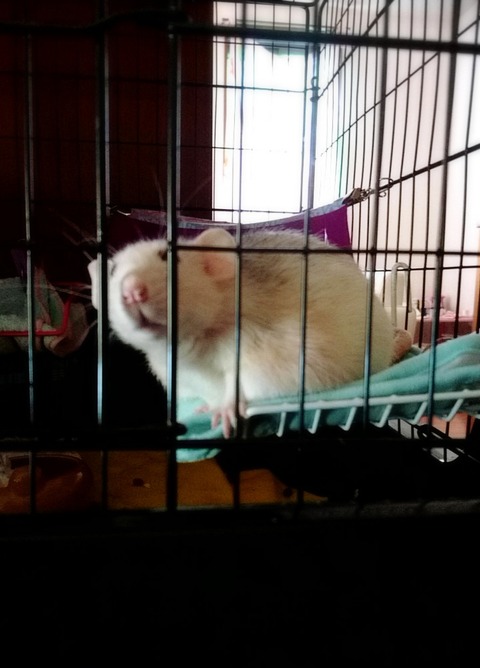 18-09-25-00-54-40-798_deco