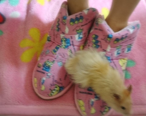 18-04-07-23-25-55-607_deco