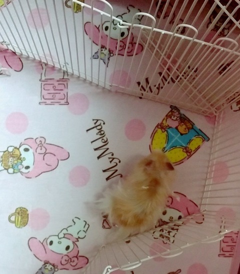 16-12-31-17-57-27-550_deco