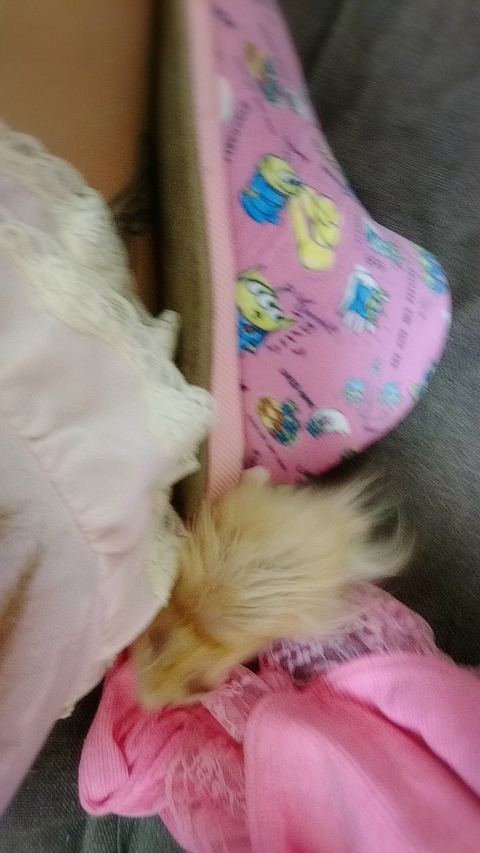 18-04-07-22-52-14-656_deco