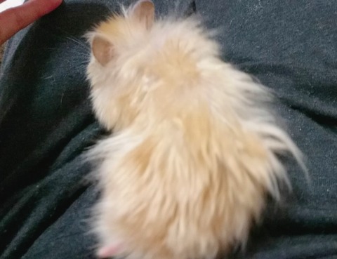 17-12-12-00-03-15-657_deco