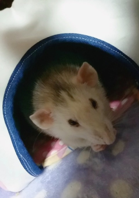 18-01-09-22-50-00-841_deco