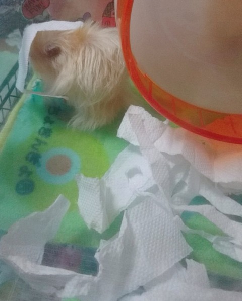 17-12-20-22-40-03-386_deco