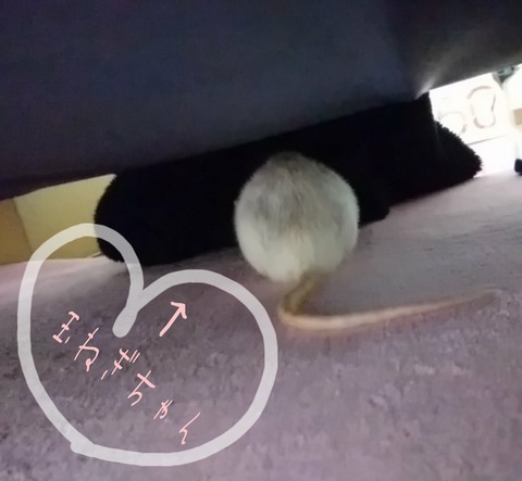 17-12-09-02-19-36-999_deco