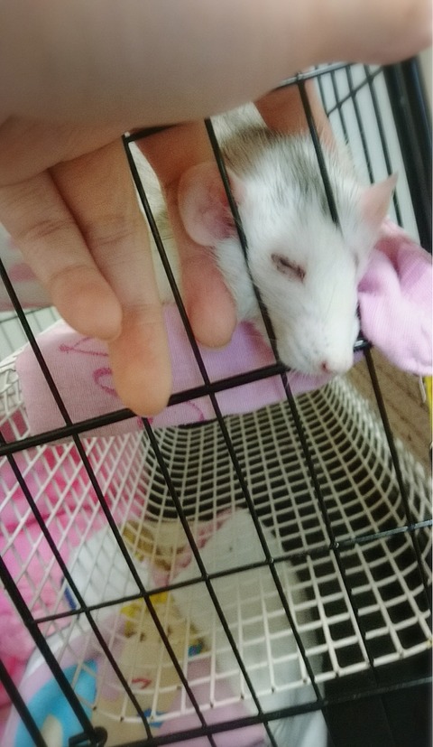 18-04-05-23-15-39-842_deco