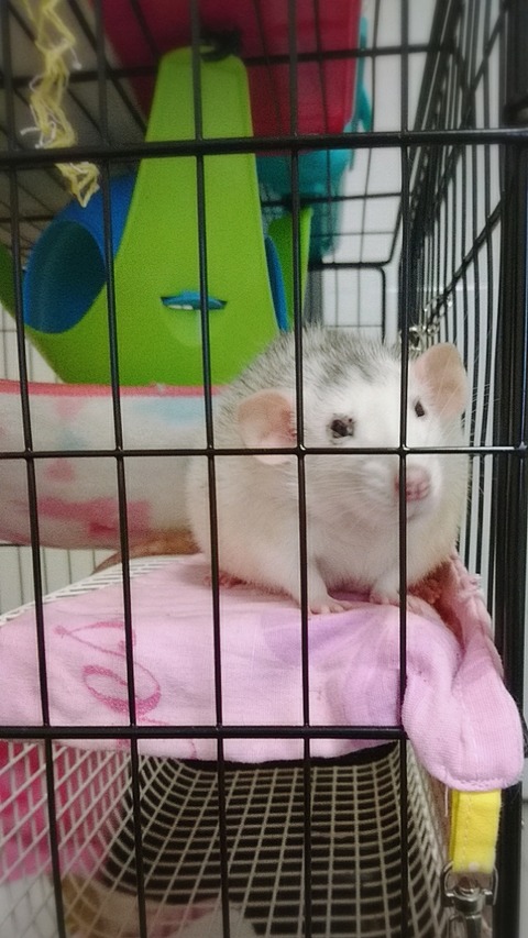 18-04-05-23-14-13-017_deco