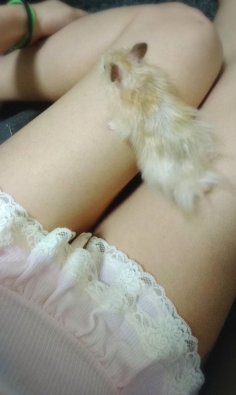 18-04-07-22-50-39-409_deco