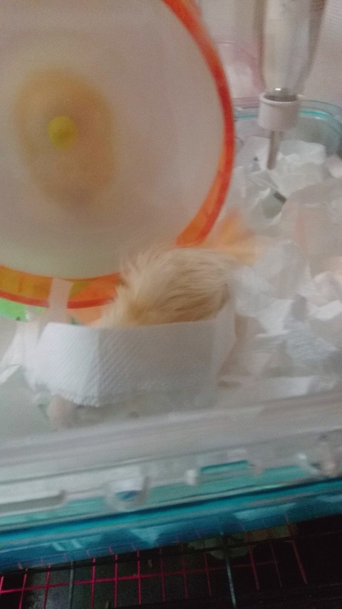 17-12-20-22-38-41-534_deco