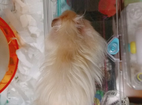 17-12-12-22-29-40-751_deco