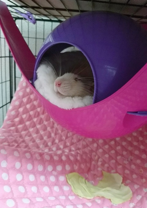 18-01-09-22-45-03-744_deco