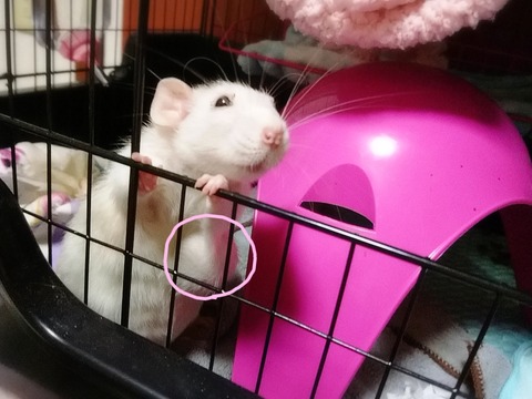 18-09-18-00-10-58-141_deco