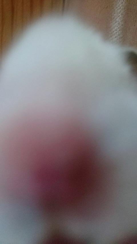 17-12-12-20-40-35-057_deco