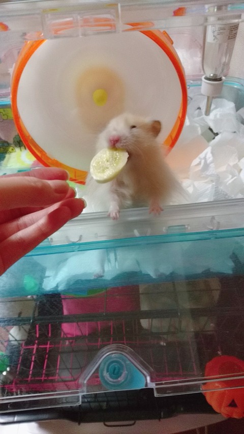 17-12-20-22-37-40-744_deco