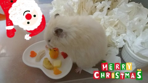 17-12-25-19-40-53-386_deco