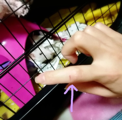 18-09-27-00-37-02-678_deco