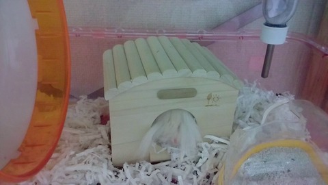 16-03-07-22-39-17-357_deco