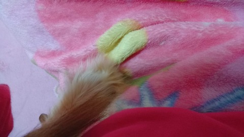 17-12-14-05-18-44-521_deco