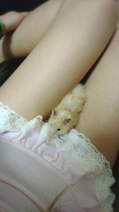 18-04-07-22-51-17-406_deco