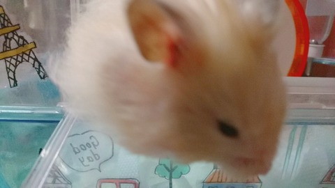 17-12-12-22-29-15-899_deco